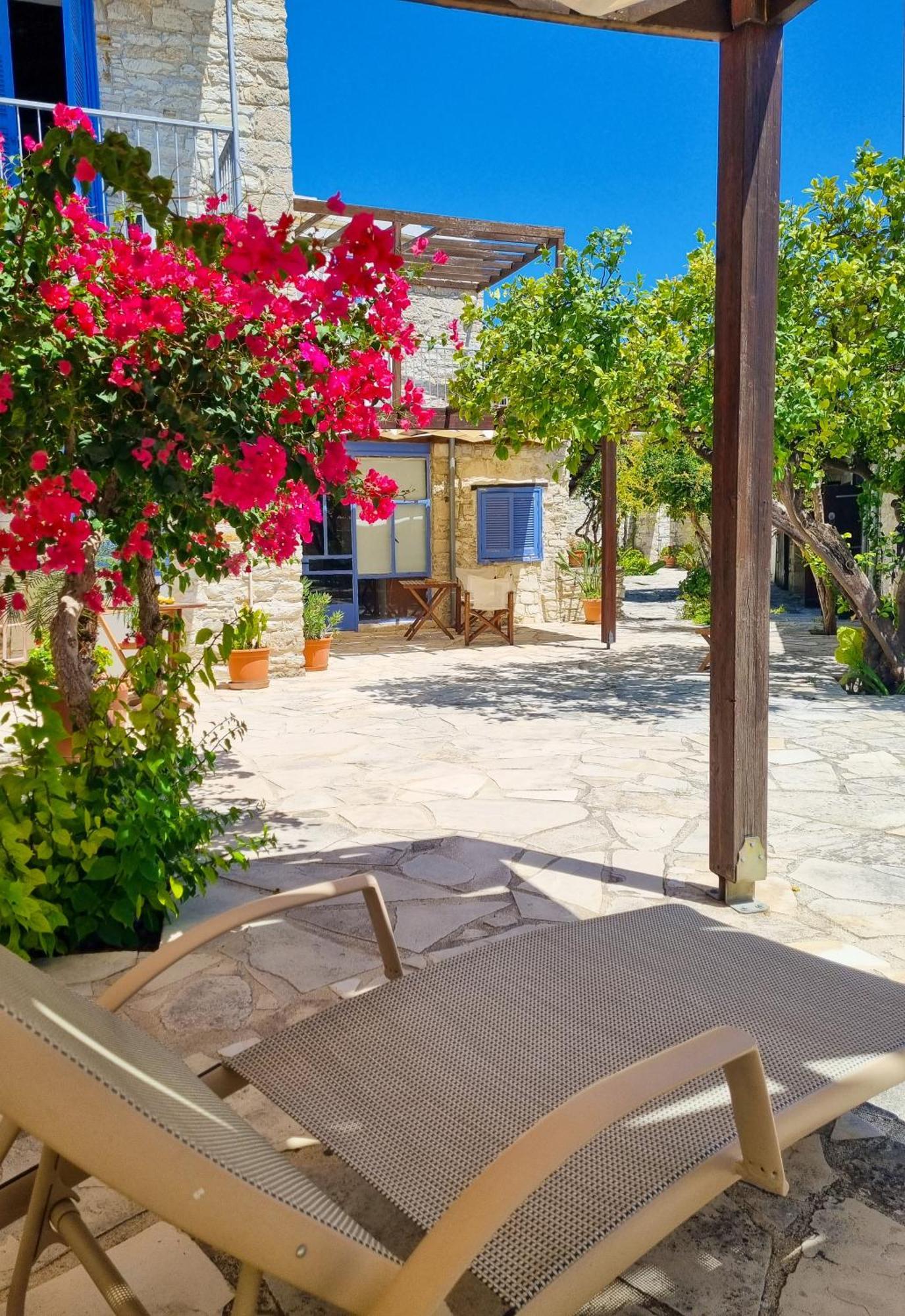 Athena'S Pool Oasis Apartment Skarinou ภายนอก รูปภาพ